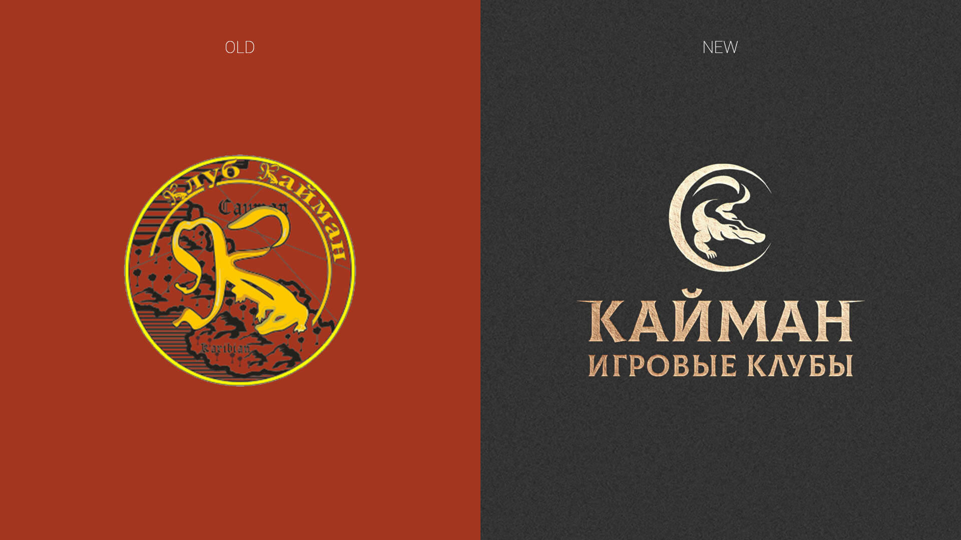 Портфолио_Кайман2