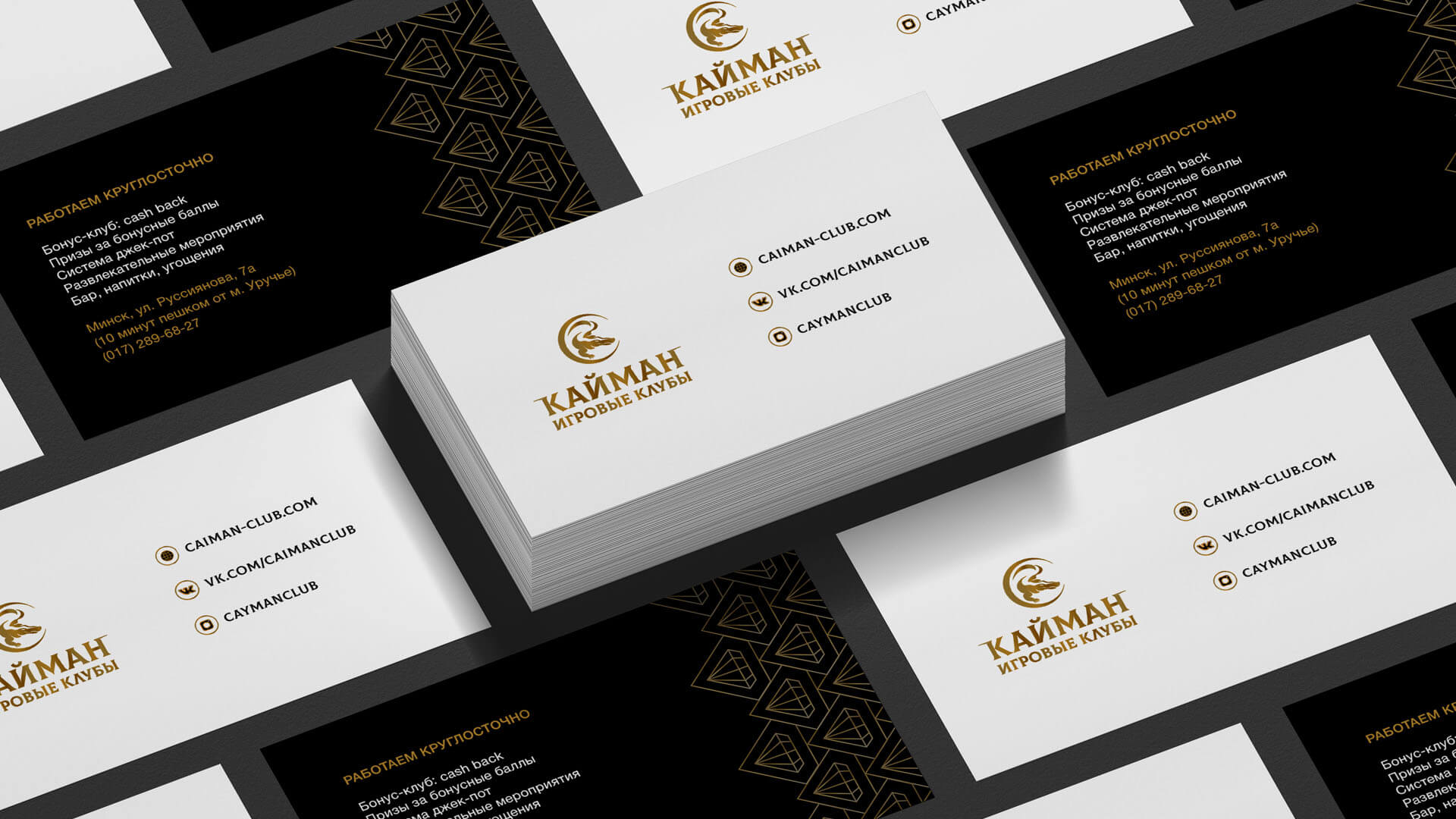 Портфолио_Кайман5