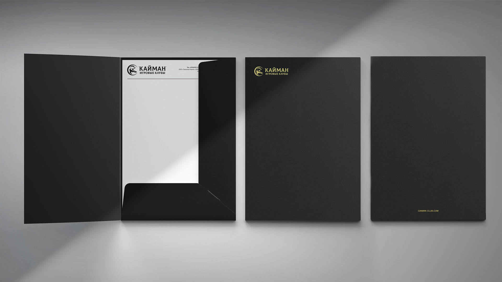 Портфолио_Кайман6