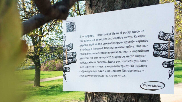 drevologia обложка