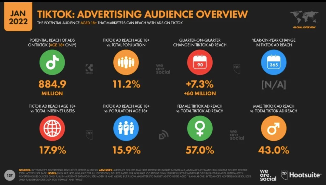tik-tok-advertising-audience-overview