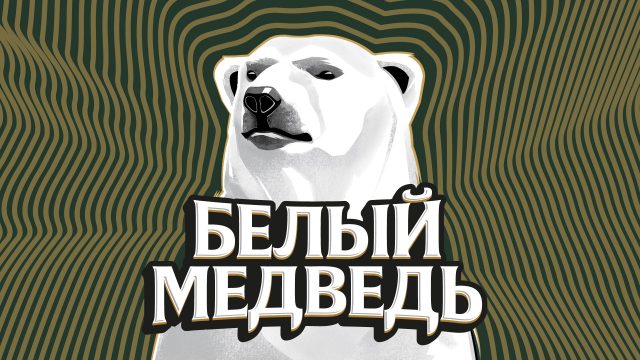 bely-medved_brandbook1